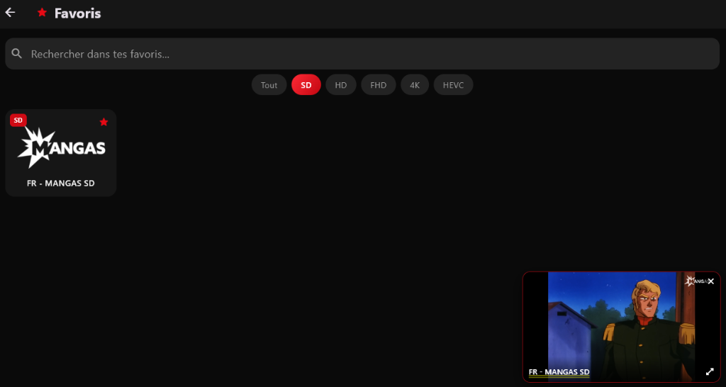 Aperçu du lecteur vidéo Livo View App